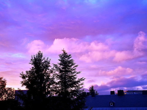 Sonnenuntergang 12.6.2019 – Foto 18