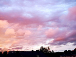 Foto 224266 im Album