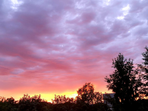 Sonnenuntergang 12.6.2019 – Foto 23
