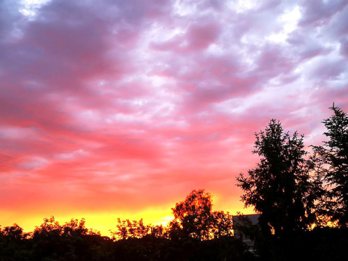 Sonnenuntergang 12.6.2019 – Foto 24