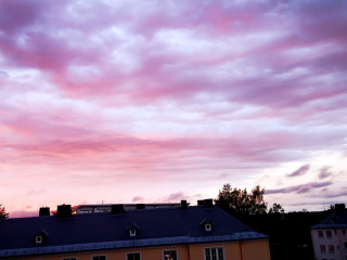 Foto 224270 im Album