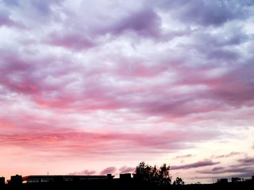 Sonnenuntergang 12.6.2019 – Foto 27