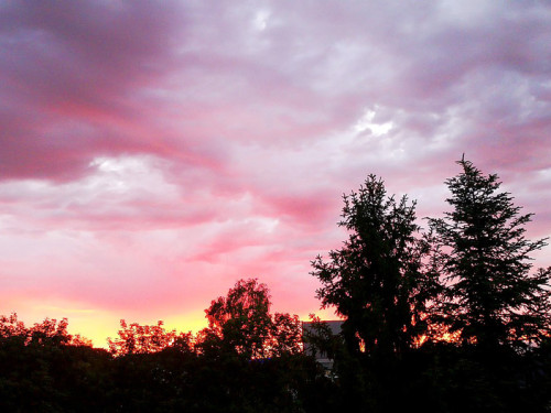 Sonnenuntergang 12.6.2019 – Foto 31