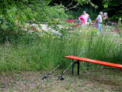 Hofer Umwelttag 2019 – Foto 42