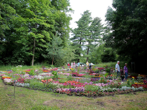 Hofer Umwelttag 2019 – Foto 44