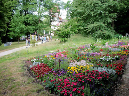 Hofer Umwelttag 2019 – Foto 45