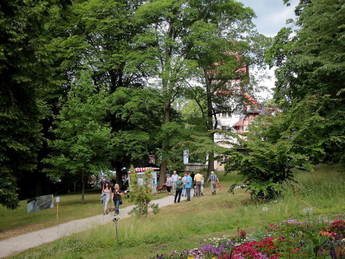 Hofer Umwelttag 2019 – Foto 46