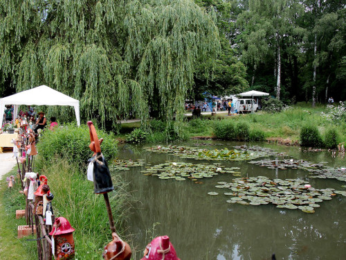 Hofer Umwelttag 2019 – Foto 115