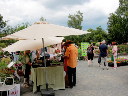Hofer Umwelttag 2019 – Foto 122