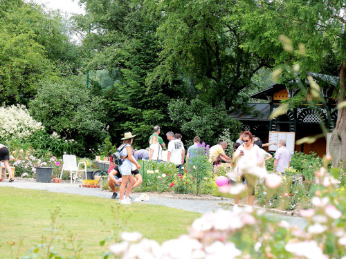 Hofer Umwelttag 2019 – Foto 125