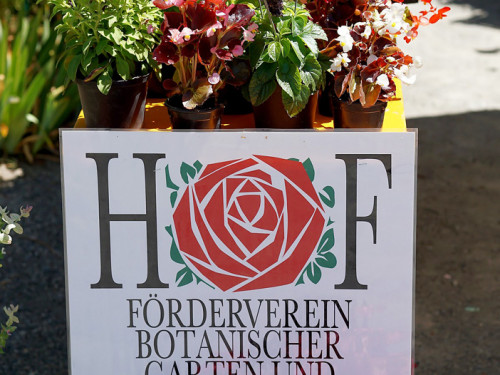 Rosenfest 2019 – Foto 27