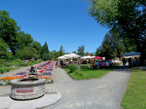 Rosenfest 2019 – Foto 38