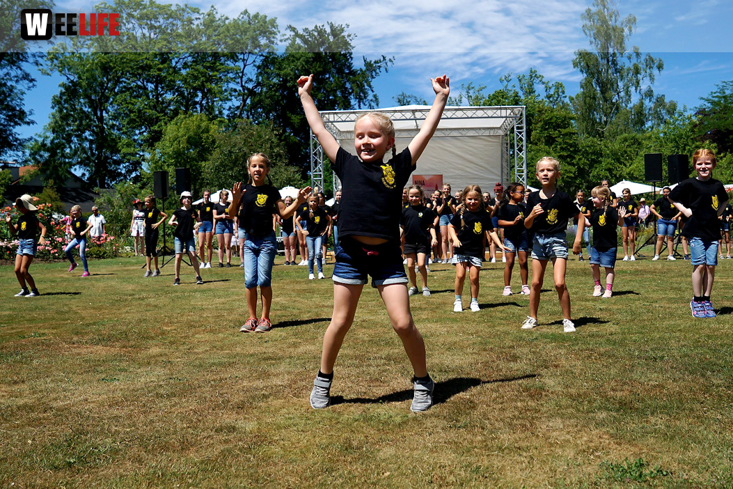 Rosenfest 2019