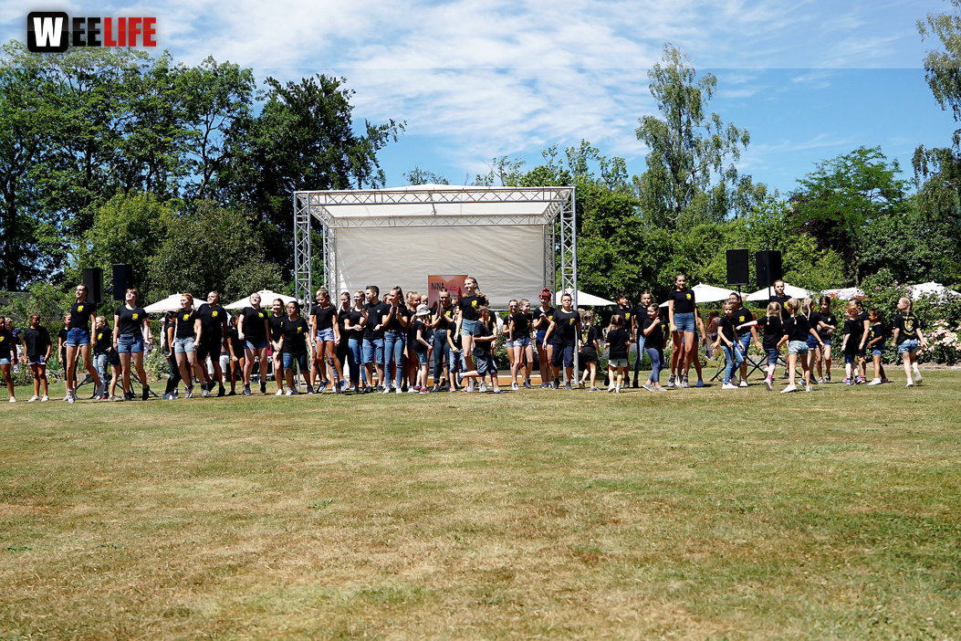 Rosenfest 2019