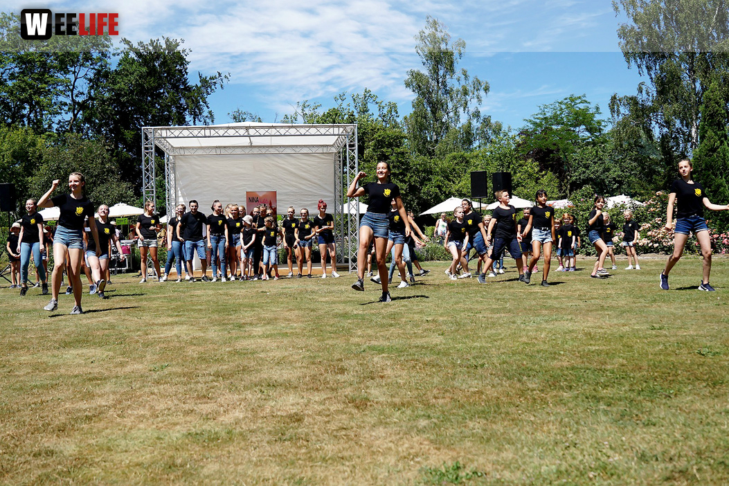 Rosenfest 2019