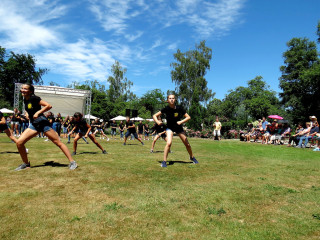 Foto 225337 im Album