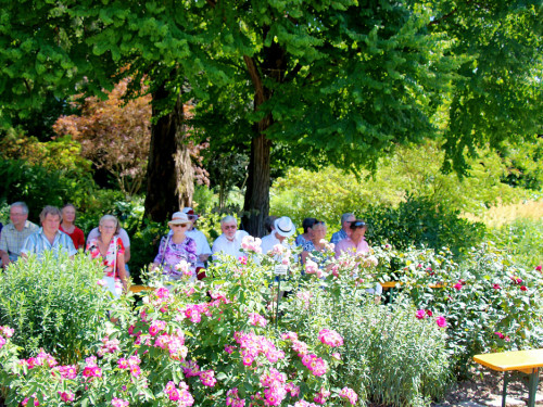 Rosenfest 2019 – Foto 23