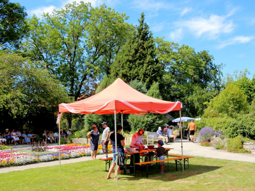 Rosenfest 2019 – Foto 32
