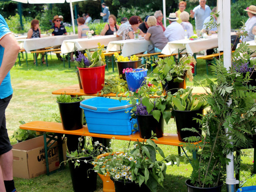 Rosenfest 2019 – Foto 33