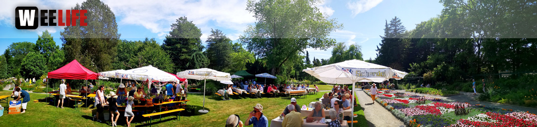 Rosenfest 2019