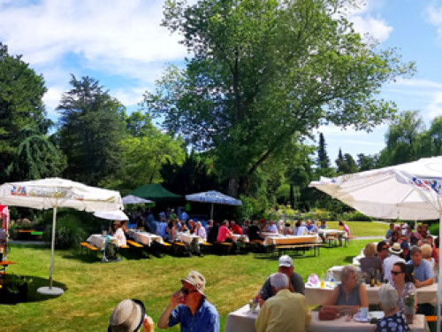 Rosenfest 2019 – Foto 37