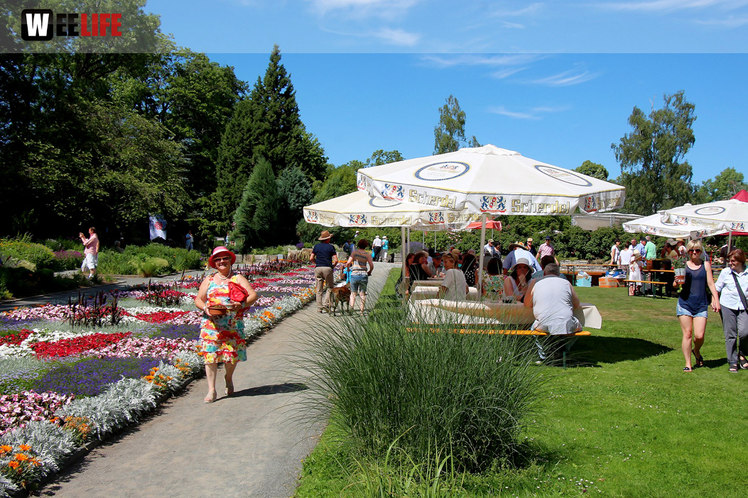 Rosenfest 2019