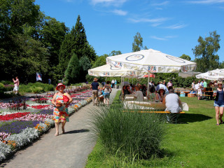 Foto 225428 im Album