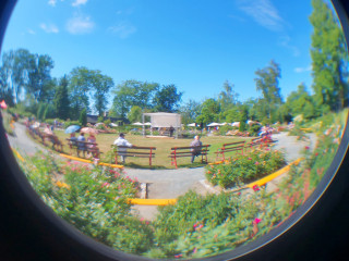 Foto 225433 im Album