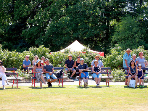Rosenfest 2019 – Foto 66