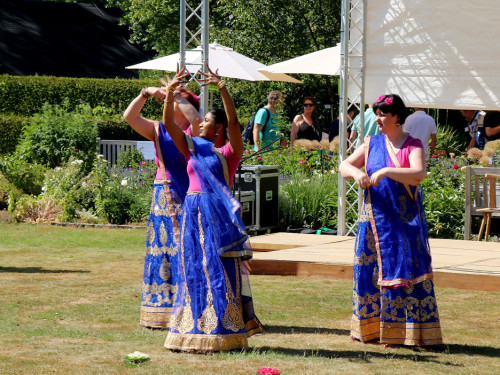 Rosenfest 2019 – Foto 71