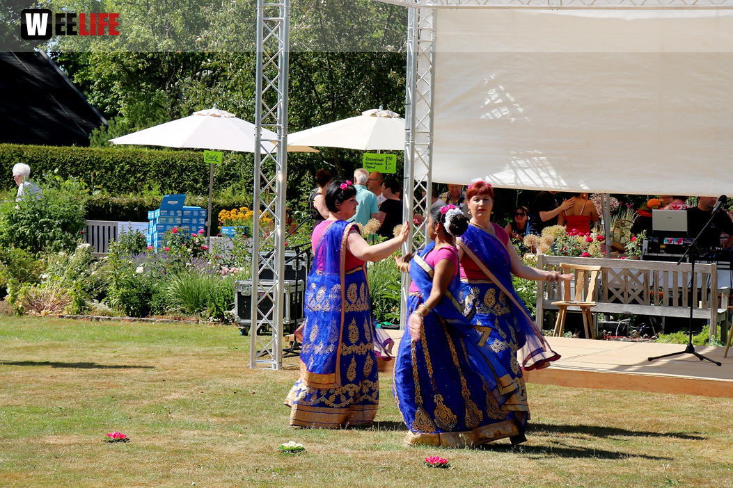 Rosenfest 2019
