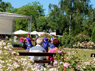 Foto 225464 im Album