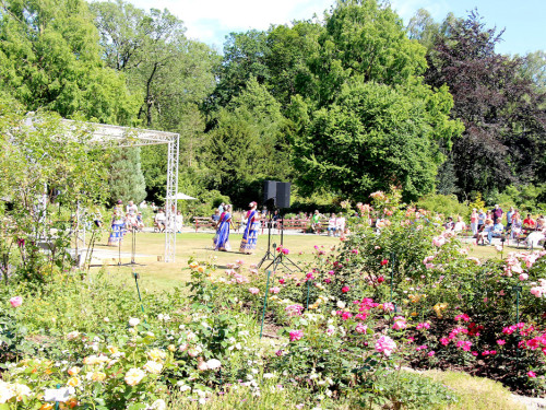 Rosenfest 2019 – Foto 82
