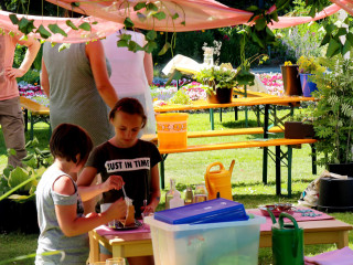 Foto 225483 im Album