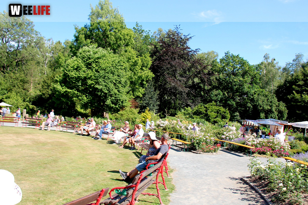 Rosenfest 2019