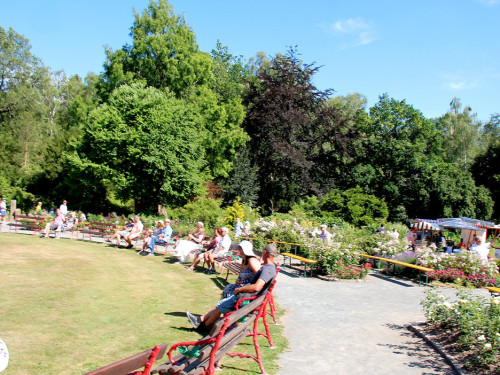 Rosenfest 2019 – Foto 107