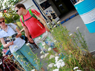 Foto 227032 im Album