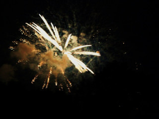 Foto 22714 im Album