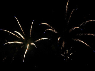 Foto 22729 im Album