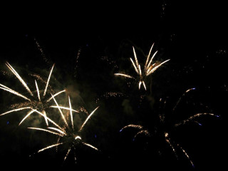 Foto 22730 im Album
