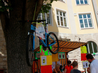 Foto 227406 im Album