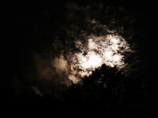 Foto 22741 im Album