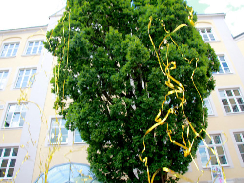 Schiller Gymnasium Schulfest 21.7.2019 – Foto 117