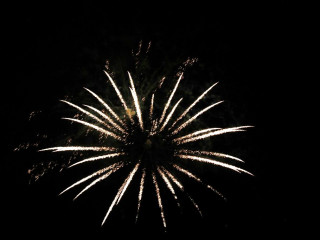 Foto 22752 im Album