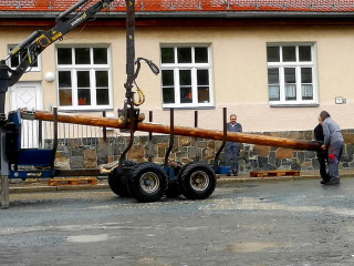 Foto 227542 im Album