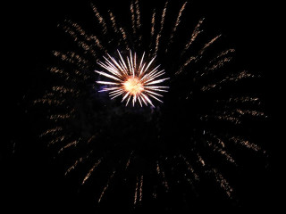 Foto 22755 im Album