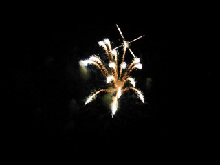 Foto 22764 im Album