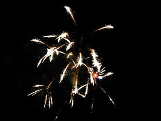 Foto 22765 im Album