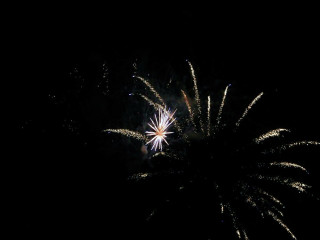 Foto 22769 im Album