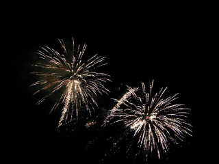 Foto 22771 im Album